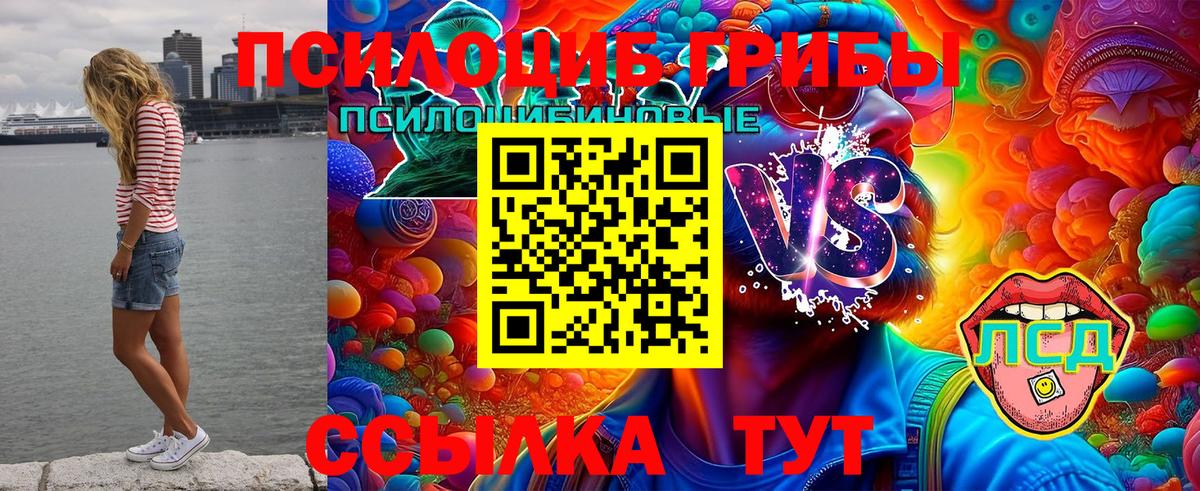 Новочеркасск  купить   Вход с VPN  Галлюциногенные грибы мицелий 