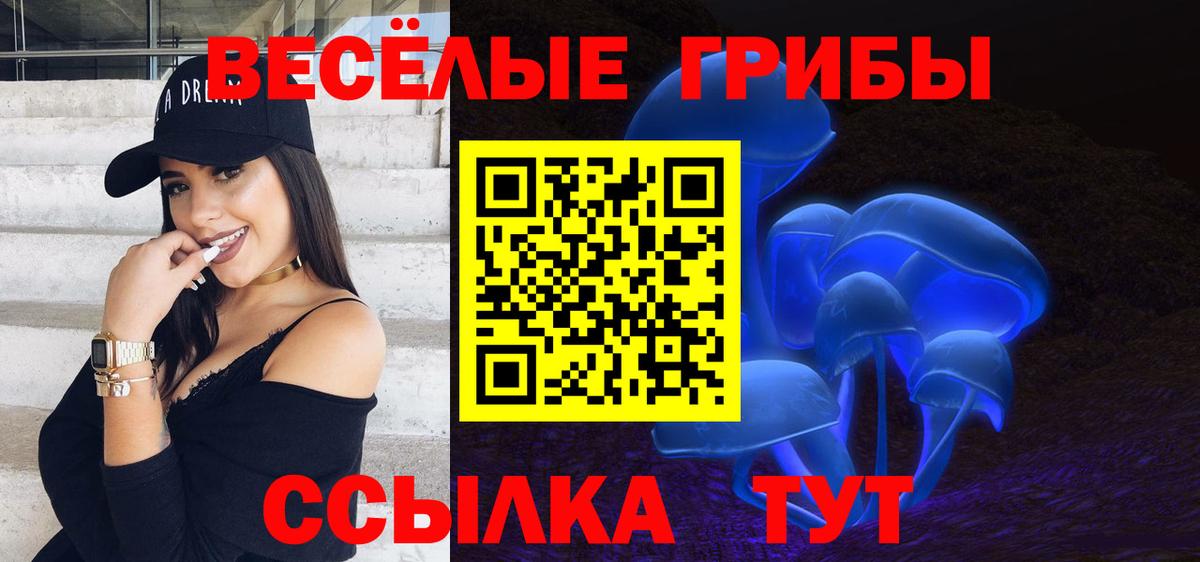 Псилоцибиновые грибы Psilocybe Новочеркасск